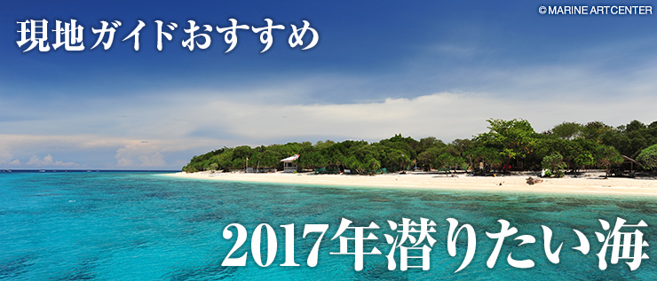 現地ガイドおすすめ 2017年潜りたい海
