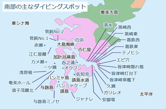 奄美大島南部のダイビングスポット