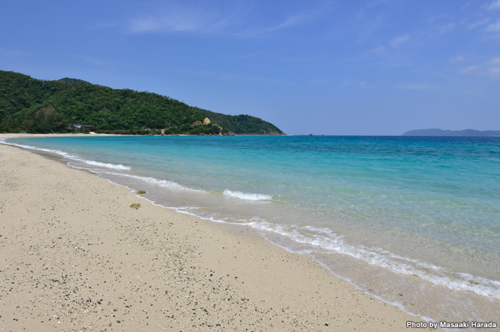 大きくえぐれ、奥の深いリアス式海岸でもある笠利湾。「倉崎ビーチ」はそんな湾の奥にある