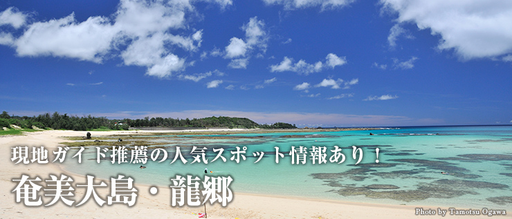 人気現地ガイド推薦の人気スポット情報あり! 生物の楽園・奄美大島