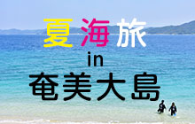 奄美大島で見つけた絶景尽くしのフォトジェニックスポット