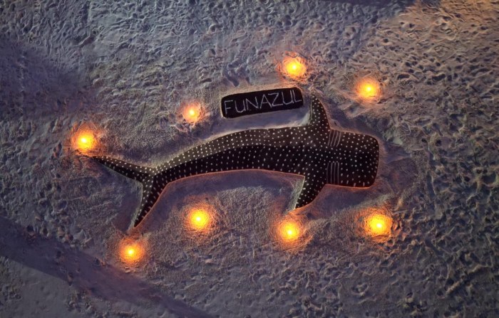 無人島やローカルアイランドなどでロマンティックなビーチディナーが開催されることもあります