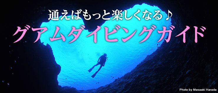 通えばもっと楽しくなる♪グアムダイビングガイド