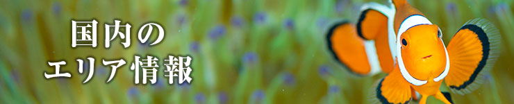 国内のエリア情報