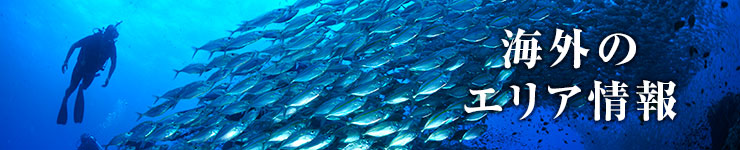 海外のエリア情報