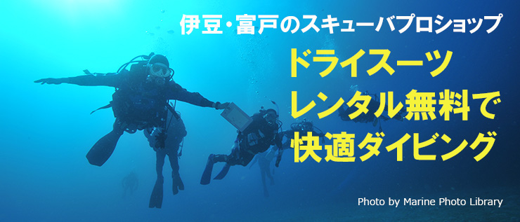 伊豆・富戸のスキューバプロショップならドライスーツレンタル無料!