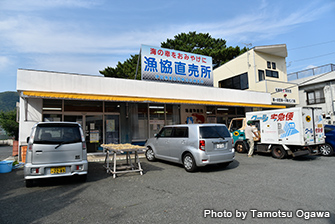 松崎にある伊豆漁業協同組合松崎支所の直売所は品数豊富で、思わずお買い物をしてしまった