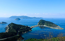 ベストシーズンの柏島 ガイドが語る魅力