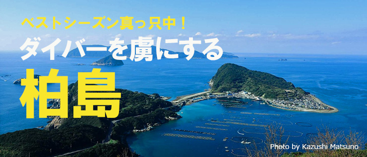 ダイバーを虜にする柏島