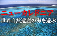 世界最大規模のラグーンで遊ぶ!ニューカレドニアのマリンアクティビティ情報まとめ