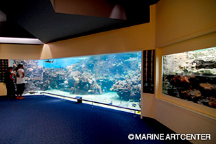 水族館にはダイバー垂涎のお魚がいっぱい!かなり楽しめる