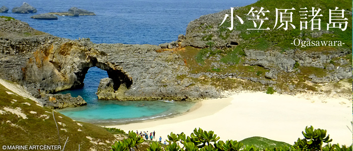 小笠原諸島