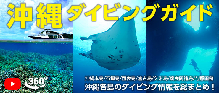 沖縄各島のダイビング情報を総まとめ! 沖縄ダイビングガイド