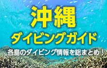 沖縄本島/ケラマ諸島/久米島/石垣島/宮古島/西表島/与那国島のダイビング基本情報を網羅