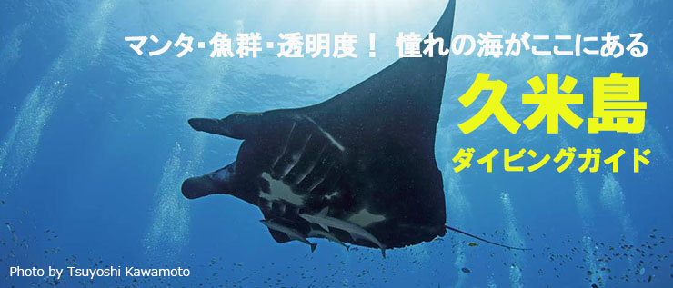 ダイナミックな水中景観に目がくぎづけ! 久米島ダイビングガイド