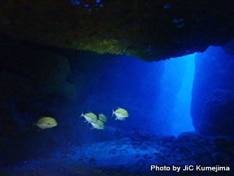 「シチューガマ」とおいしそうな名前の付いたスポットはリーフにあいたL字形の洞窟とトンネルから成っている。天井から射し込むスポットライトや外に抜けるところのブルーの窓が美しい。「シチュー」というのは沖縄の方言でイスズミのこと。「ガマ」は洞窟のこと