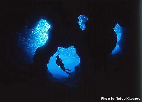 湧き水のせいか、海の青さ&透明感も別格!
