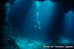 安心感のある堀さんのリードで、「ブルーホール」にも潜っちゃった!