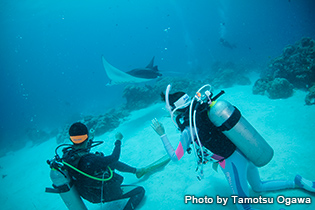 クリーニングステーションにやってきたマンタ