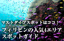 フィリピン人気4エリアのマストダイブスポットはココ!