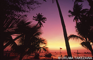 ダイビングを終えてリゾートに帰ってきたら、ビール片手にサンセットタイムを楽しみたい。あくせくした日常を忘れて、最高にリラックスできる時間だ