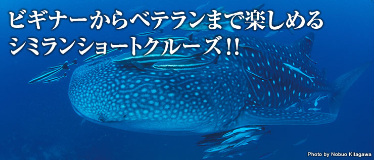 ビギナーからベテランまで楽しめる タイ・シミランショートクルーズ!!