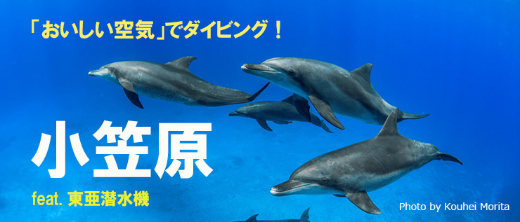 小笠原をおいしい空気でダイビング