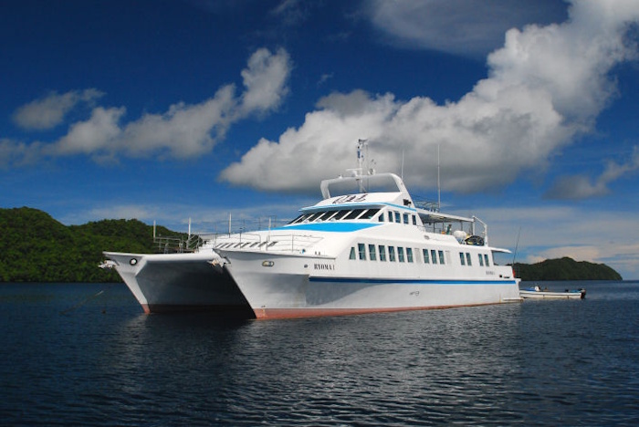 「龍馬Ⅰ」号は全長約33m、幅約12mと大きな双胴船(カタマラン)。安定していて揺れに強い