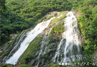 屋久島最大の「大川（おおこ）の滝」は迫力満点！　落差88ｍもあり日本の滝100選にもなっている