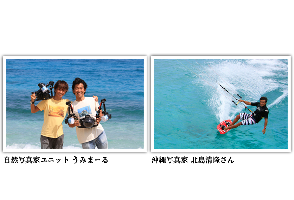 離島グラフ
