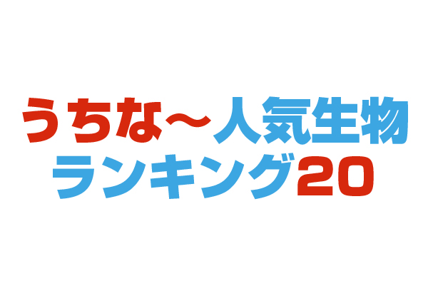 うちな~生物ランキング20