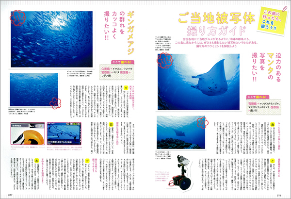 沖縄離島ダイビング2014
