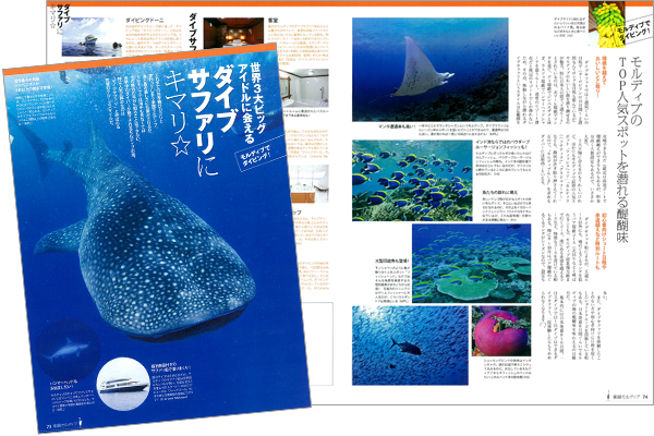 気になるダイビング情報もとことん!