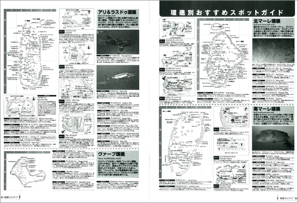 環礁別おすすめスポットガイド