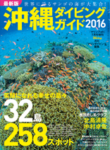 沖縄ダイビングガイド