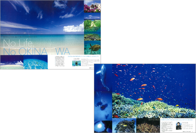 No Life, Lo OKINAWA