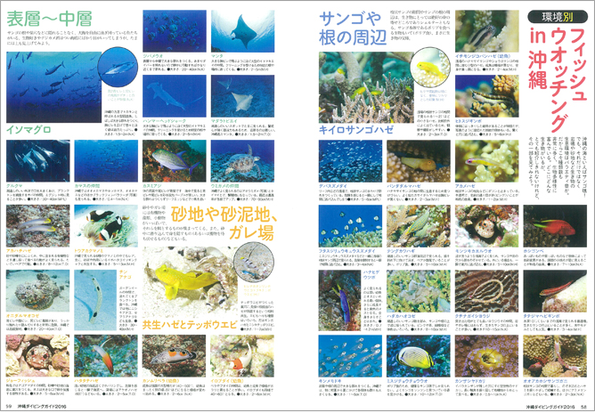 環境別フィッシュウオッチングin沖縄