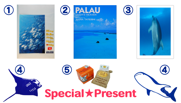 Special★Present