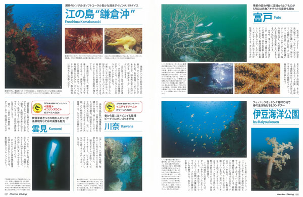 春の週末ダイビングガイド