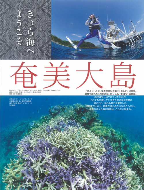 奄美大島