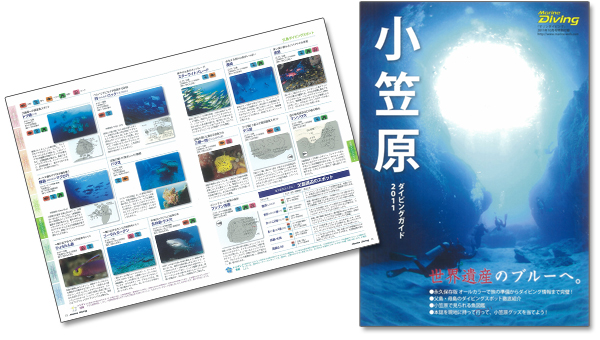 スント、マレスの最新ダイブコンピュータ モニター募集!