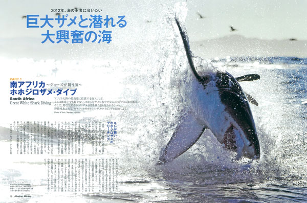 巨大ザメと潜れる大興奮の海