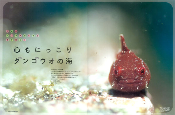 心にっこりダンゴウオの海