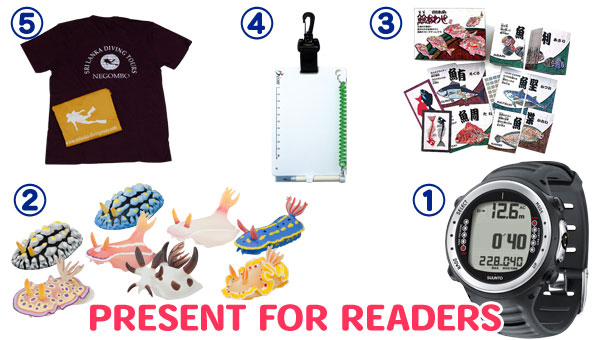 PRESENT FOR READERS