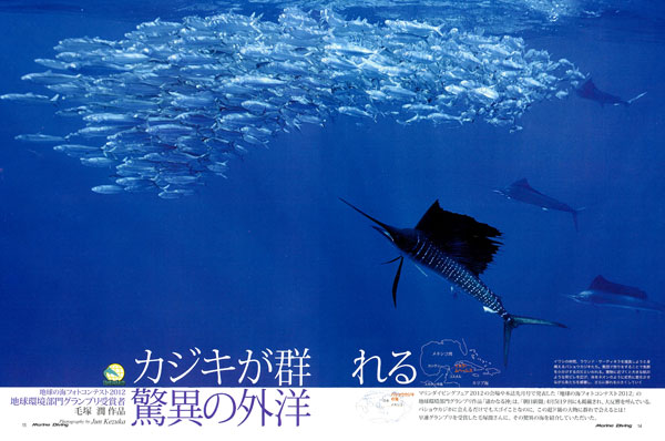 カジキが群れる驚異の海