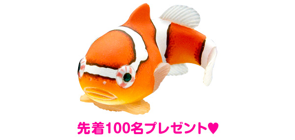 ダンゴウオ