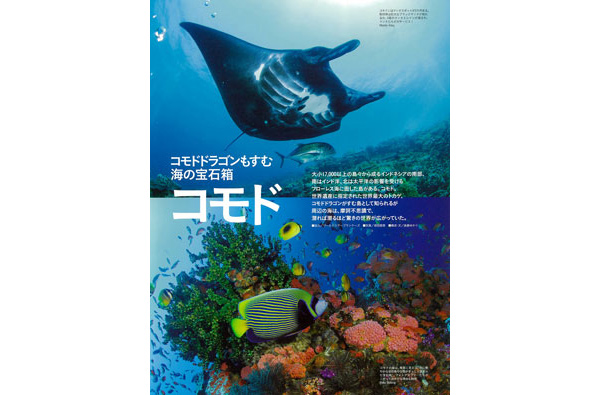 コモド