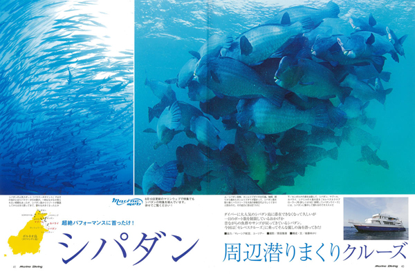 シパダン ダイブクルーズで潜りまくり!