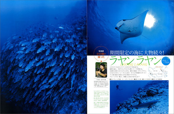 南沙諸島ラヤンラヤン