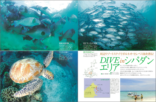 DIVE in シパダンエリア